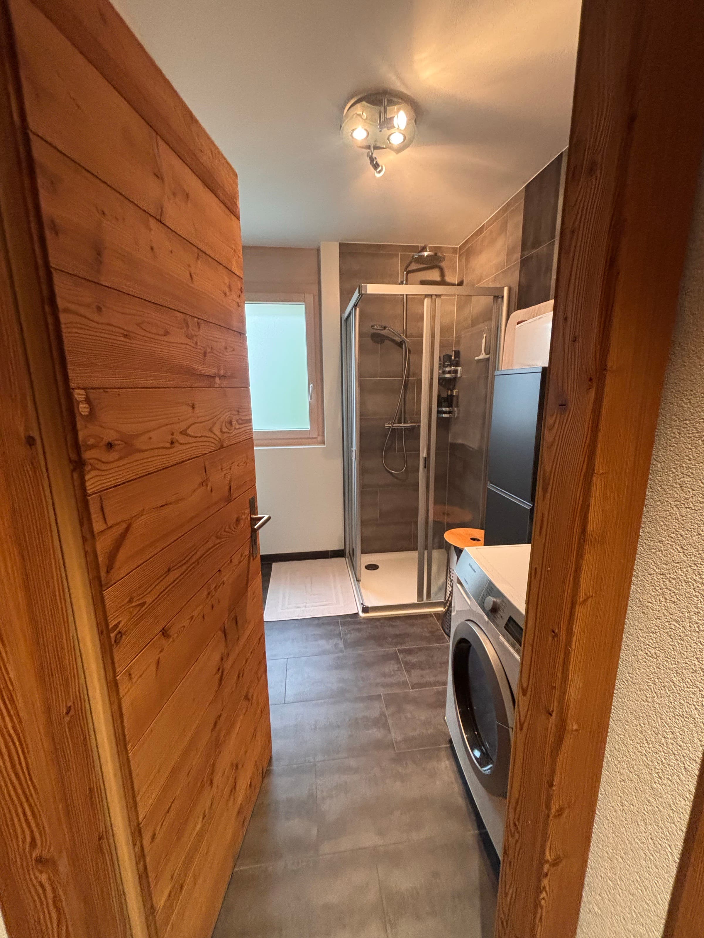 The bathroom at The Alpine Nest, with a walk-in shower and washing machine