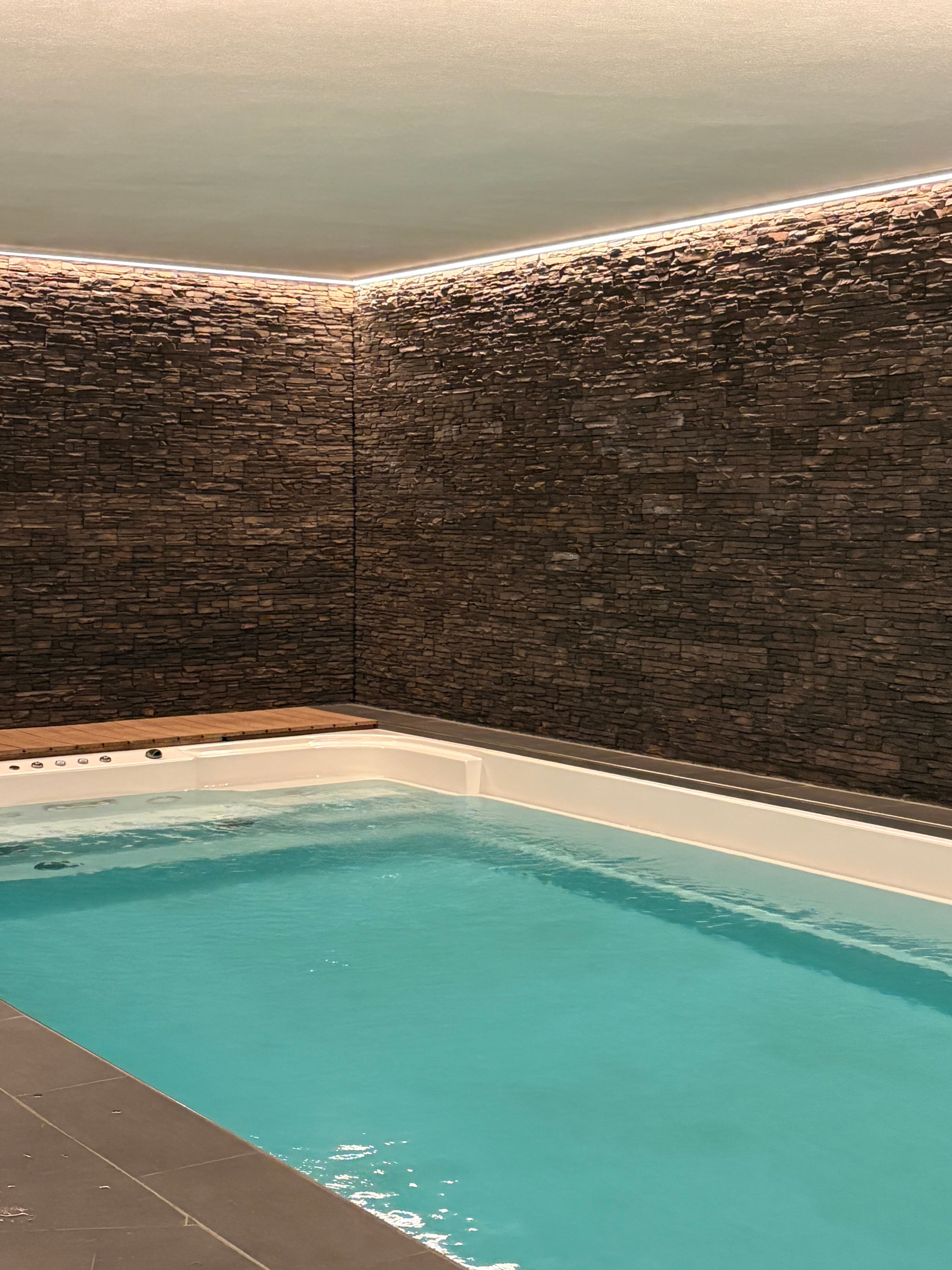 The indoor pool at The Alpine Nest, a shared amenity within the building